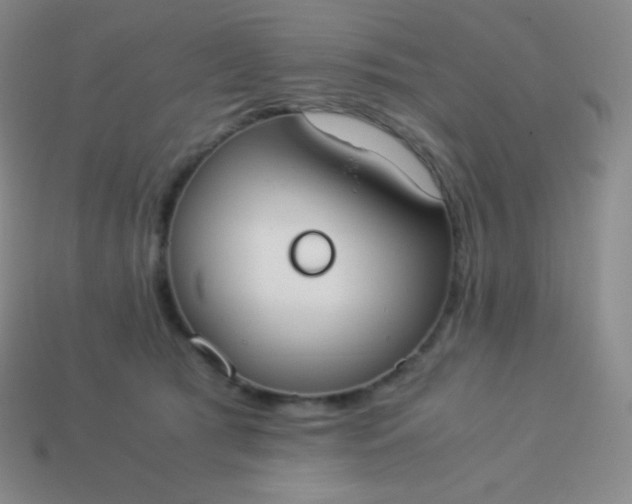 X0000113950417200910091613