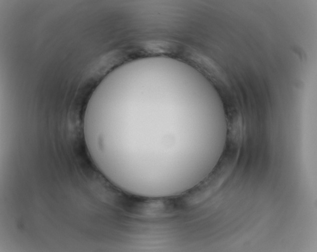 X0000113950418200910091613