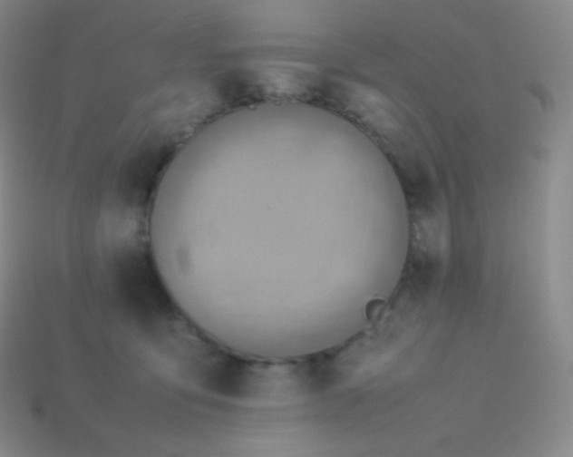X0000113950419200910091613