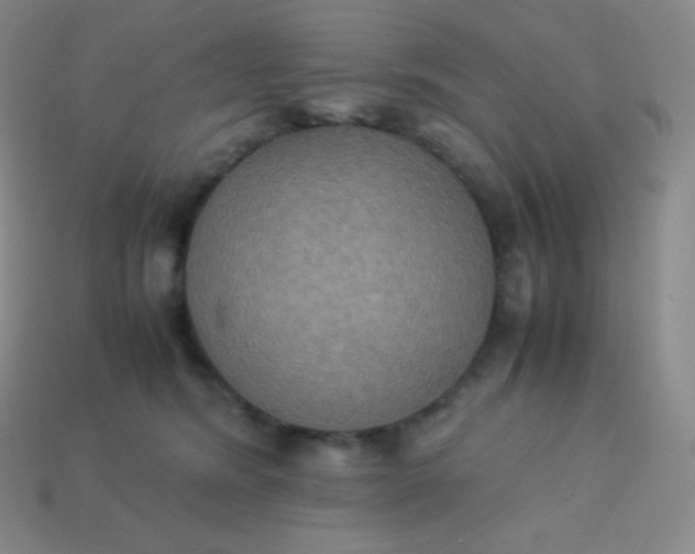 X0000113950420200910091613