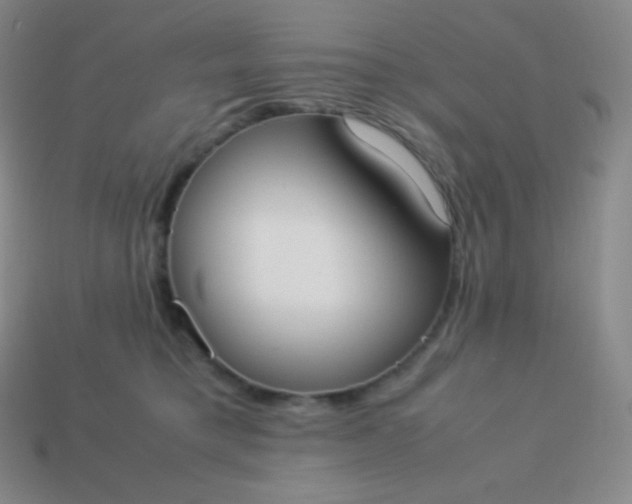 X0000113950421200910091613
