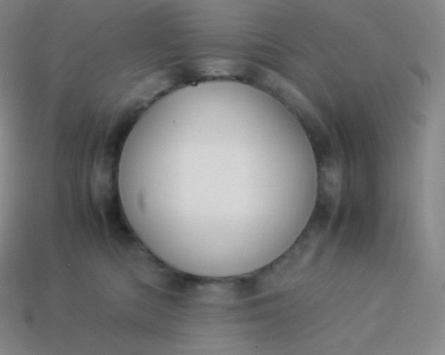 X0000113950422200910091613