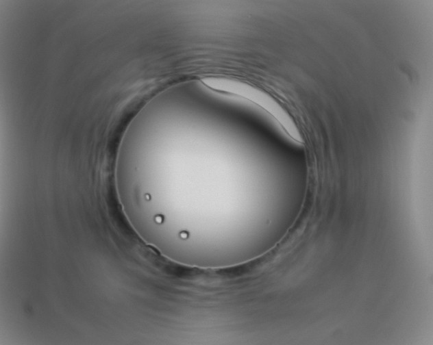 X0000113950423200910091613