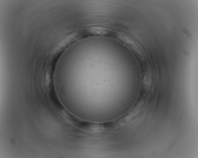 X0000113950424200910091613