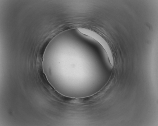 X0000113950425200910091613