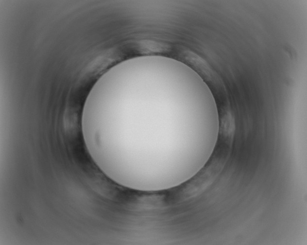 X0000113950426200910091613