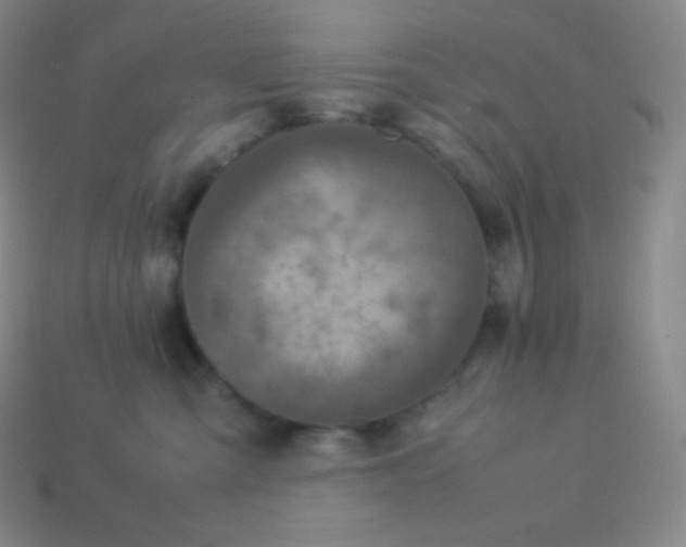 X0000113950427200910091613
