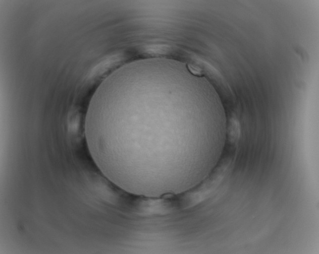 X0000113950428200910091613