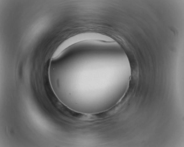 X0000113950429200910091612