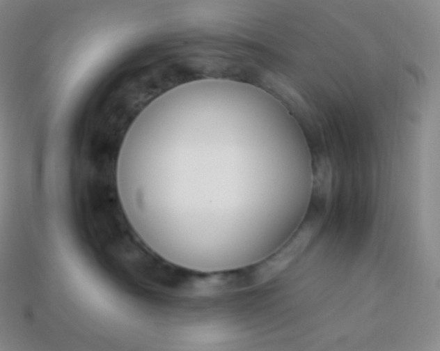 X0000113950430200910091612