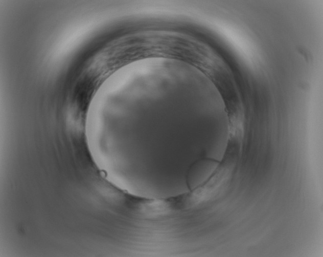 X0000113950431200910091612