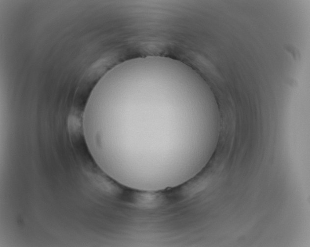 X0000113950432200910091612