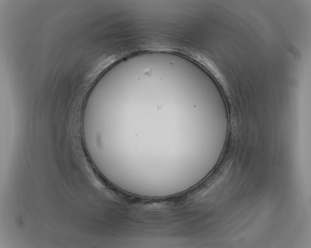 X0000113950433200910091612