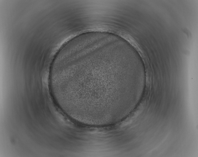X0000113950434200910091612