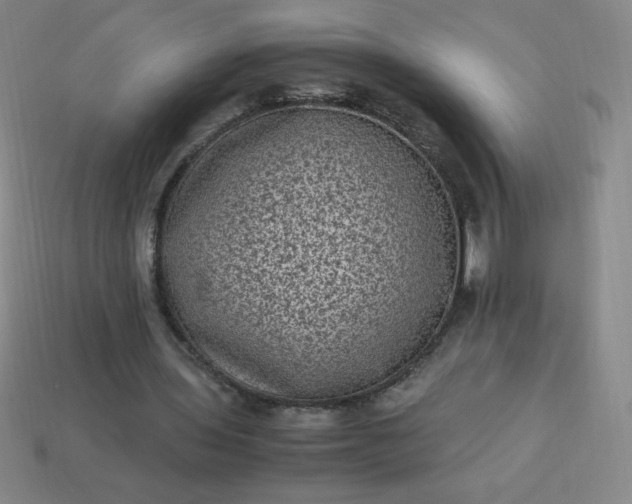 X0000113950435200910091612