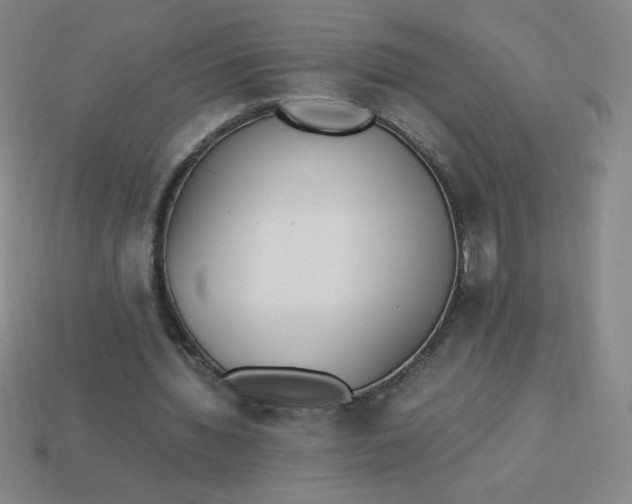 X0000113950436200910091612