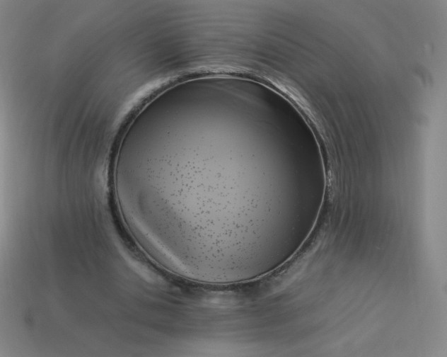 X0000113950438200910091612