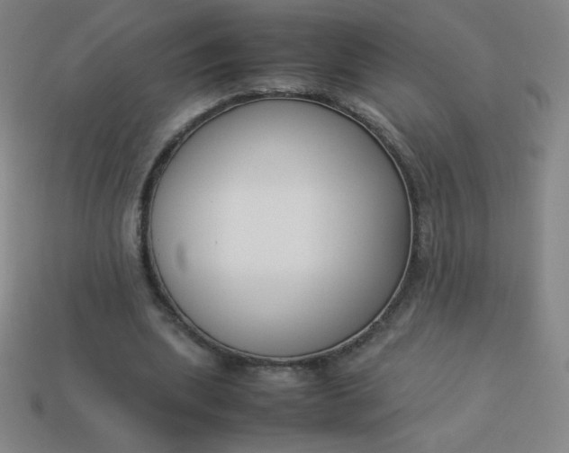 X0000113950439200910091612