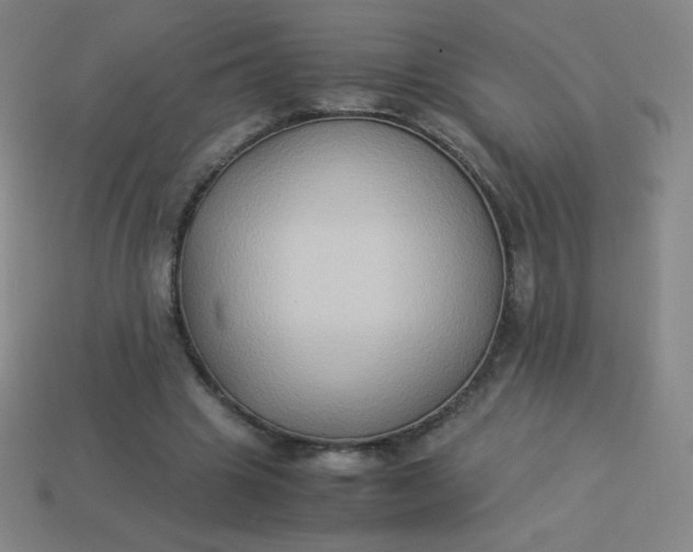 X0000113950441200910091612