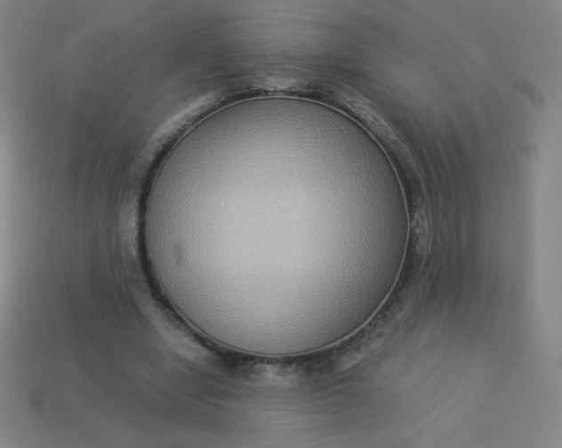 X0000113950442200910091612