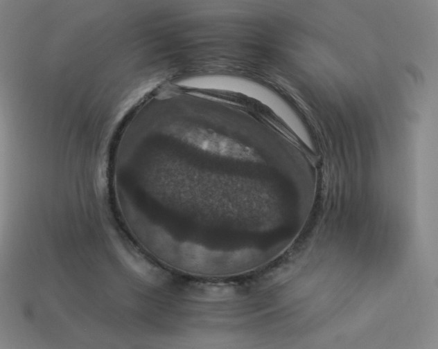 X0000113950443200910091612