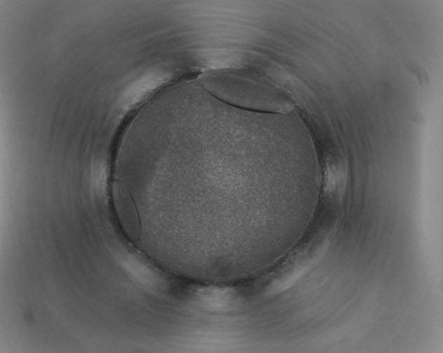 X0000113950444200910091612