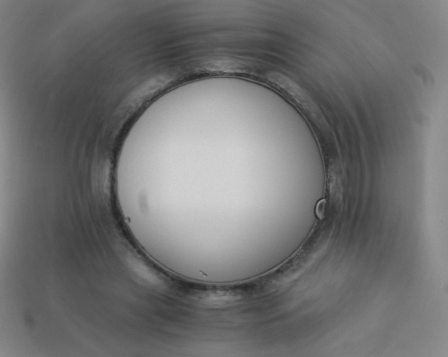 X0000113950445200910091612