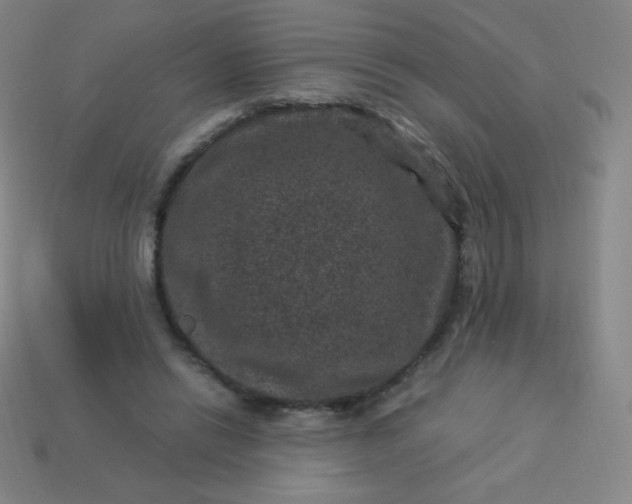 X0000113950446200910091612