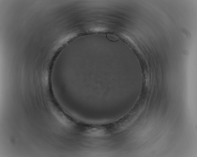 X0000113950447200910091612