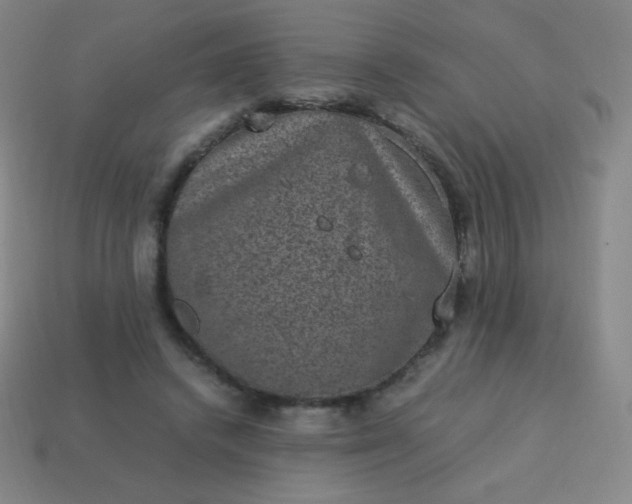 X0000113950448200910091612