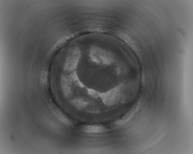 X0000113950449200910091612