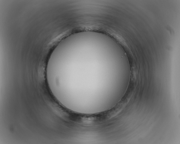 X0000113950450200910091612