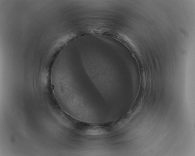 X0000113950451200910091612