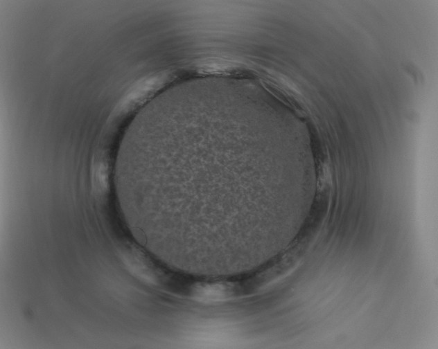X0000113950452200910091612