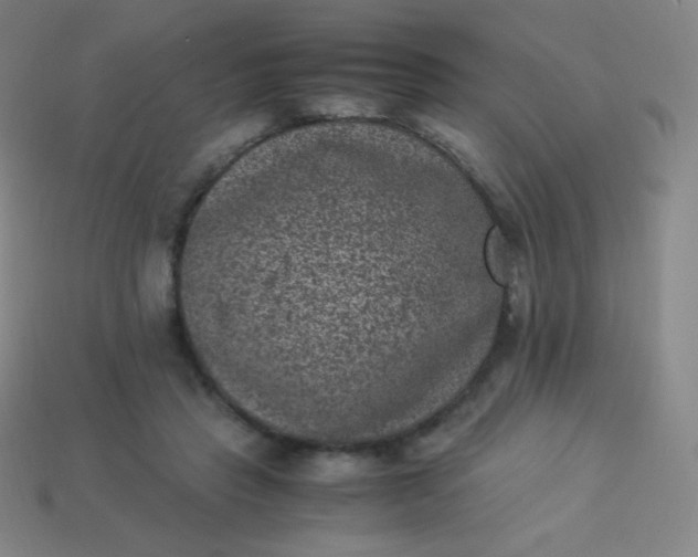 X0000113950453200910091612