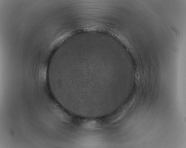 X0000113950454200910091612