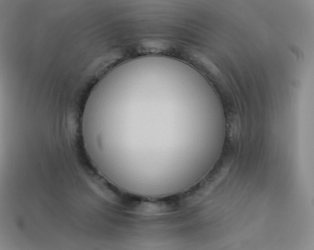 X0000113950455200910091612