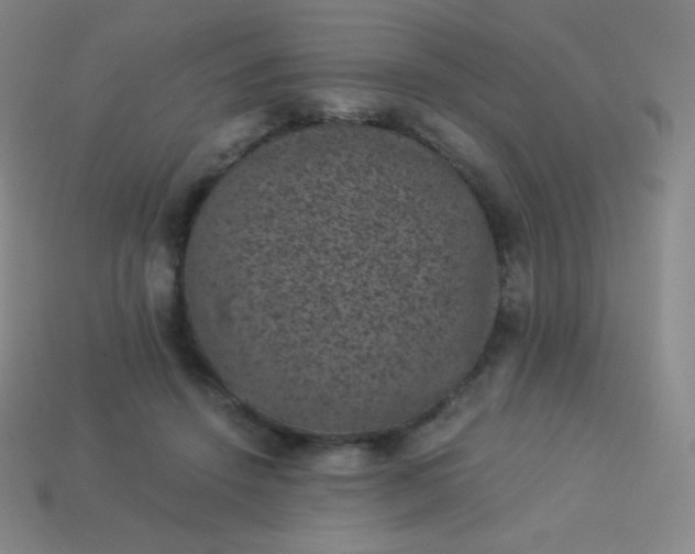 X0000113950456200910091612