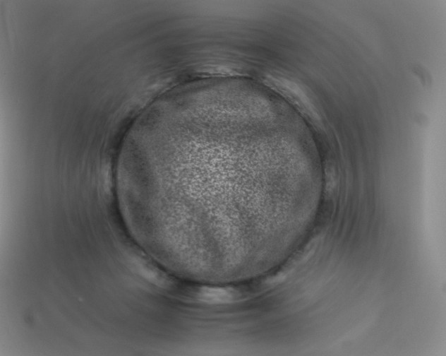 X0000113950457200910091612