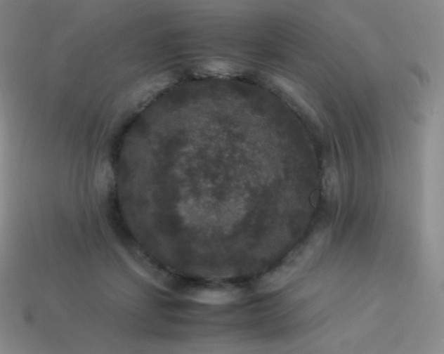 X0000113950459200910091612