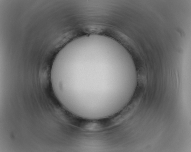 X0000113950460200910091612