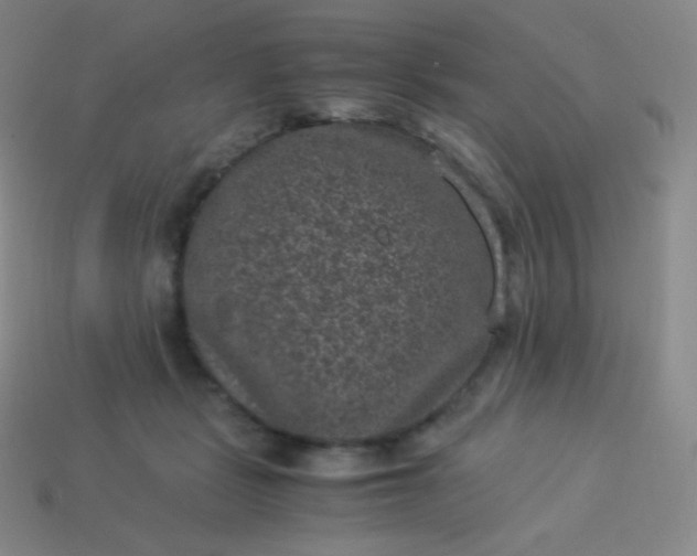 X0000113950461200910091612