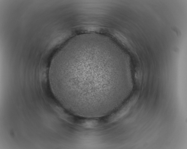 X0000113950462200910091612