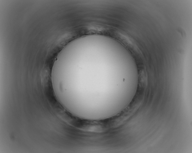 X0000113950463200910091612
