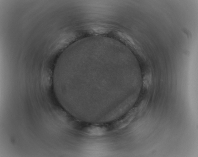 X0000113950464200910091612
