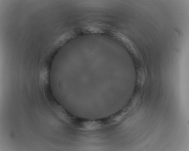 X0000113950465200910091612
