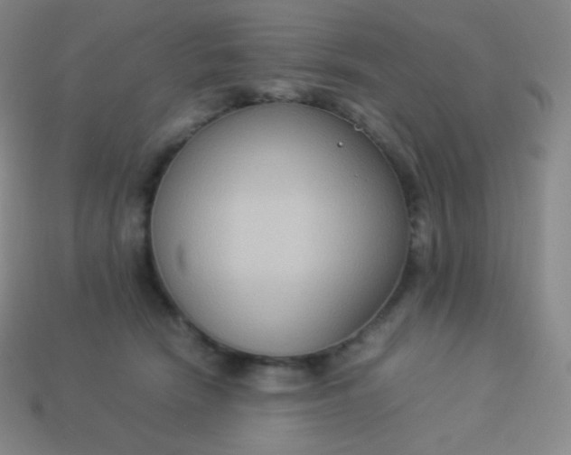 X0000113950466200910091612