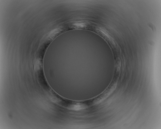 X0000113950467200910091612