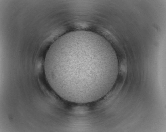 X0000113950468200910091612