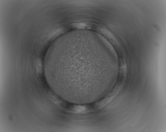 X0000113950469200910091612